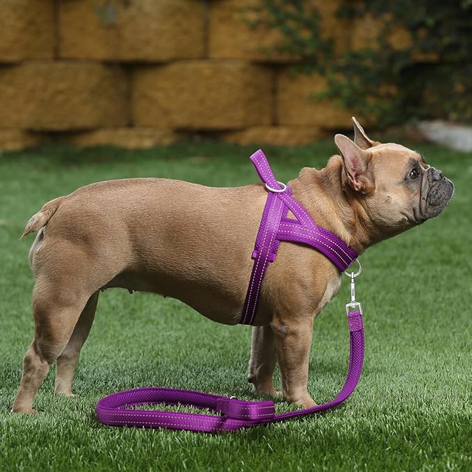 Plutus Pet No Pull Dog Harness with Breathable Mesh Padded, Adjustable Reflective Escape Proof Dog Harness, Quick Fit Dog Vest Harness for Small Medium Large Dogs(XXS, Purple)