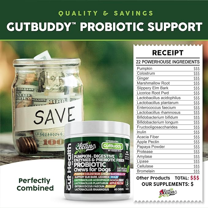 Probiotics for Dogs with Pumpkin, Colostrum, Digestive Enzymes, Ginger, Slippery Elm, Licorice, Inulin Fiber & More | Beef Flavor Soft Chews for Gut Health and Digestion Dog Supplement