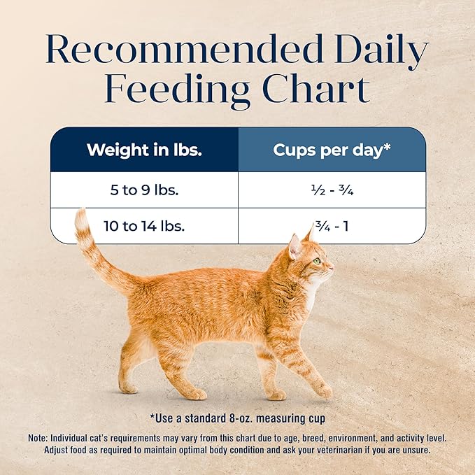 Blue Buffalo Basics Grain-Free Dry Cat Food, Skin & Stomach Care, Limited Ingredient Diet for Indoor Cats, Fish & Potato Recipe, 11-lb Bag