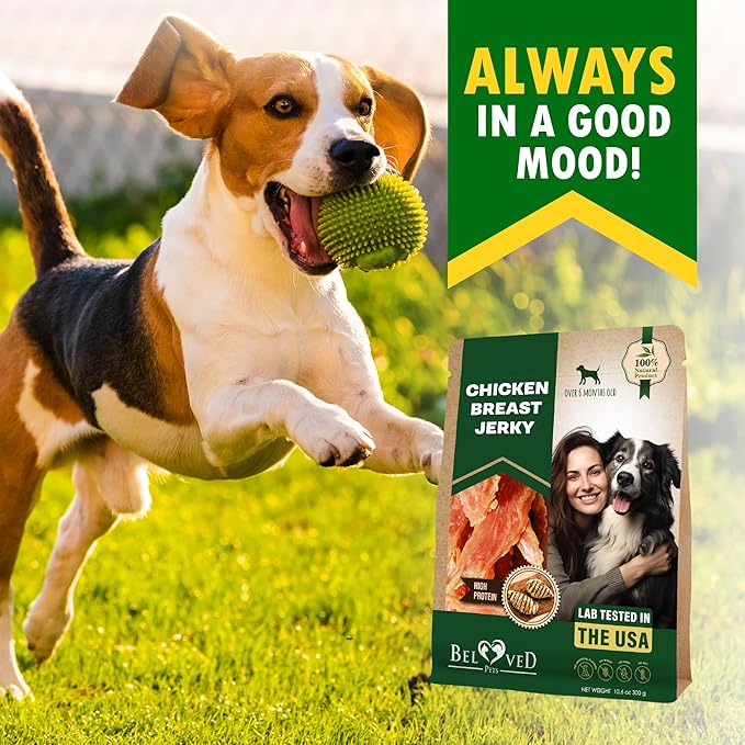 Beloved Pets Dog Treats Chicken Jerky 10.6 Oz – Healthy Chews for Large, Medium & Small Breeds – Pet Natural Training Snacks Strips – Grain Free & Human Grade Meat – Rawhide Free Puppy Treats