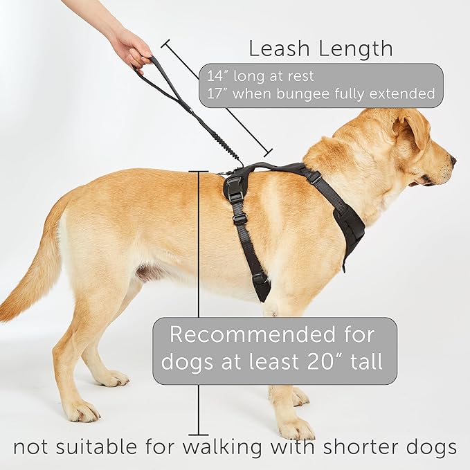 TUG Grab Dog Harness | Integrated Traffic Leash Magnetically Attached for Quick Control (XL/Black)