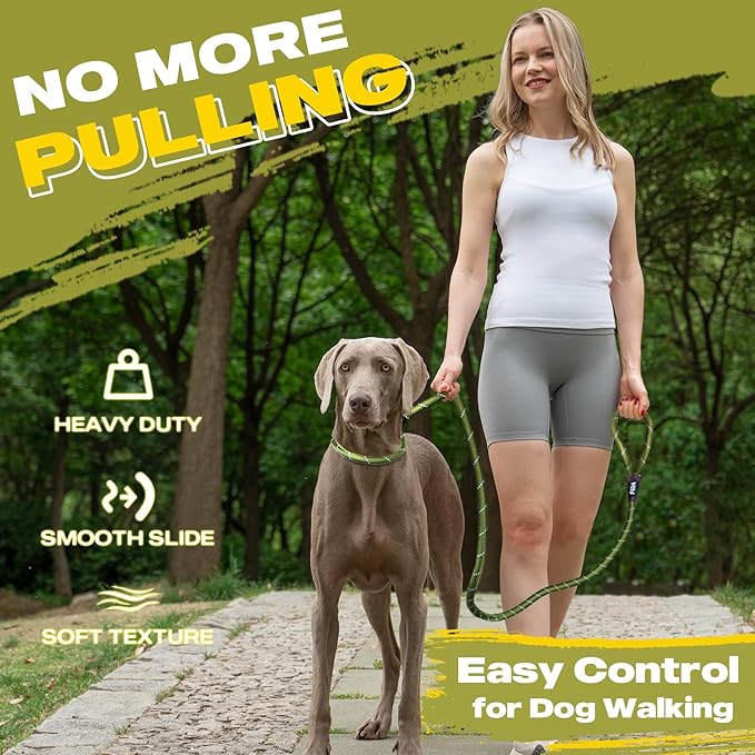 Fida Durable Slip Lead, 6 FT x 1/2" Heavy Duty Loop Leash, Comfortable Strong Rope for Large, Medium Dogs, No Pull Pet Training with Highly Reflective, Green