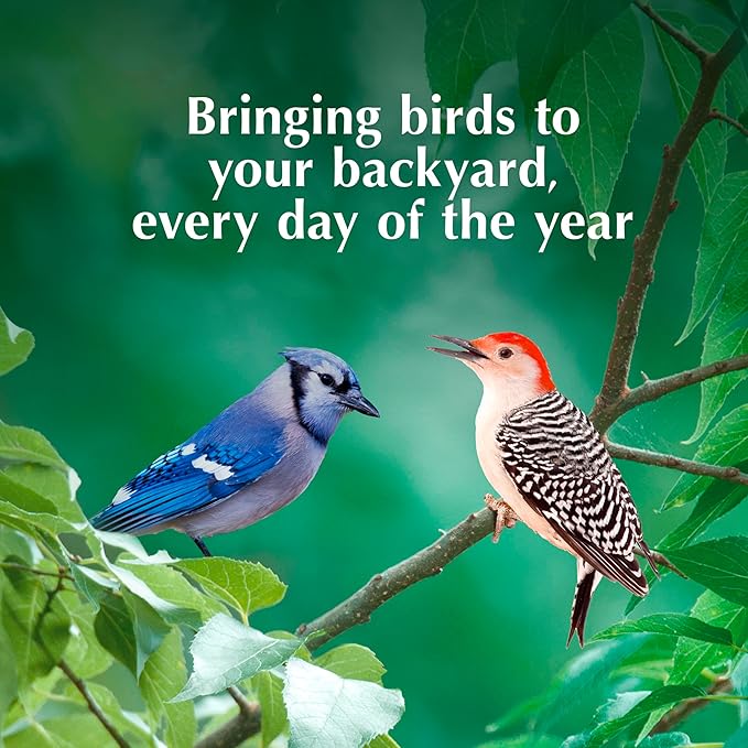 C&S Peanut Butter Delight No Melt Suet Dough, Suet Cakes for Wild Birds Including Wrens, Woodpeckers, Cardinals, Songbirds, Jays and More, 8 Pack