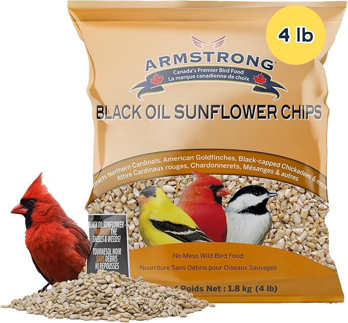 Armstrong Wild Bird Food Black Oil Sunflower Chips, 4 Pounds - for Northern Cardinals, American Goldfinches and Black-Capped Chickadees - Ideal for Outside Feeders