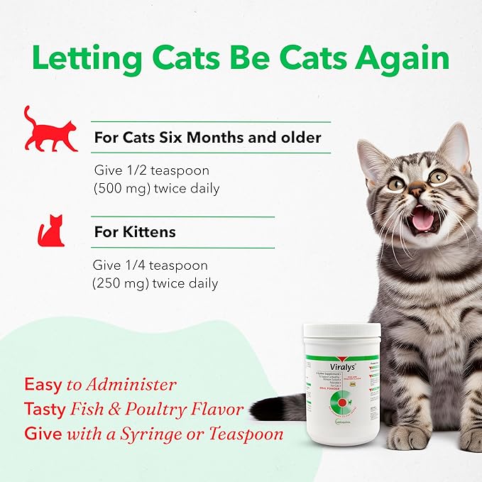 Vetoquinol Viralys - Lysine Supplement for Cats & Kittens - Supports Eye Wellness, Respiratory Health & Immune Strength - Flavored Oral Powder for Easy Feeding & Daily Use - 600 Grams