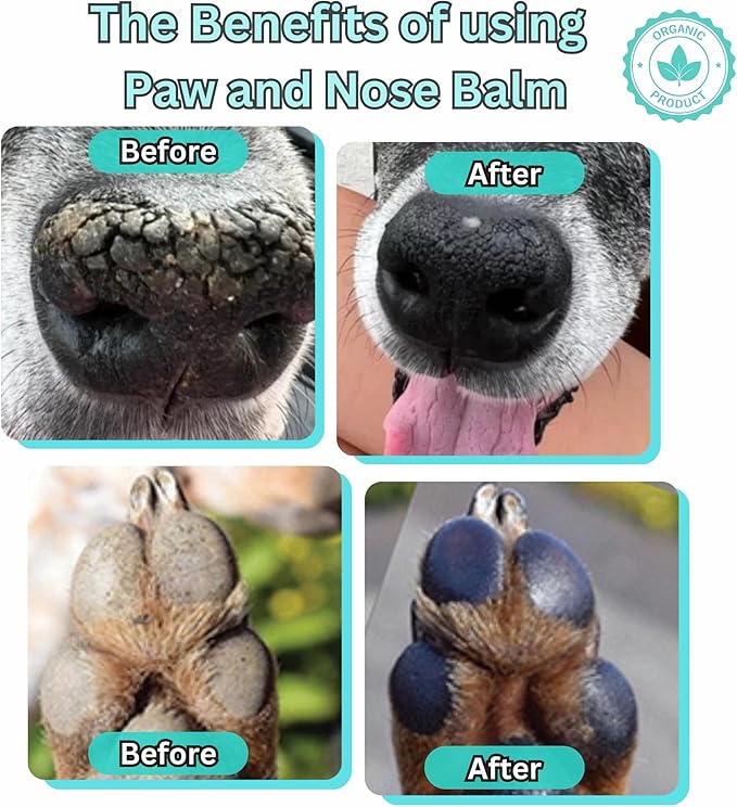 Lick-Safe Organic Paw & Nose Balm for Dogs, Cats & More – All-Natural, Hypoallergenic – Heals, Protects & Restores Dry, Cracked Dog Paws, Snouts & Elbows – Aloe, Avocado Oil, Beeswax – 1.75 oz
