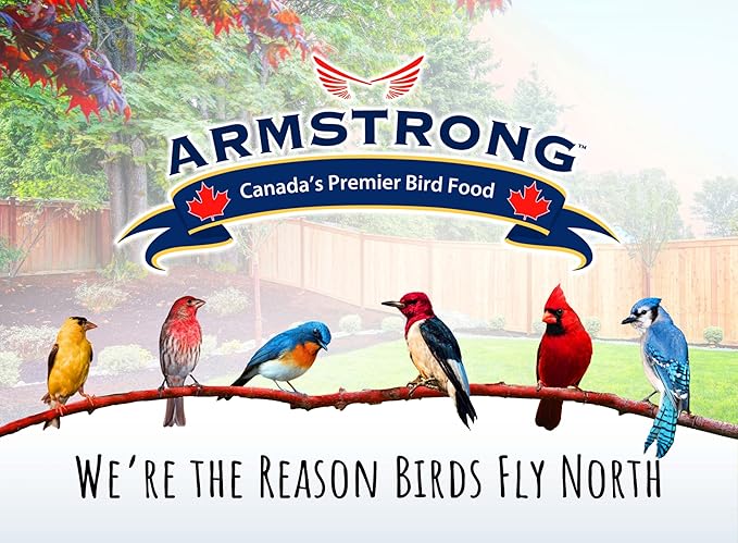 Armstrong Wild Bird Food Combo Pack - Black Oil Sunflower Bird Seed, 25 Pounds and Peanut Halves Bird Seed, 4.4 Pounds - High Protein Source - Ideal for Outside Feeders