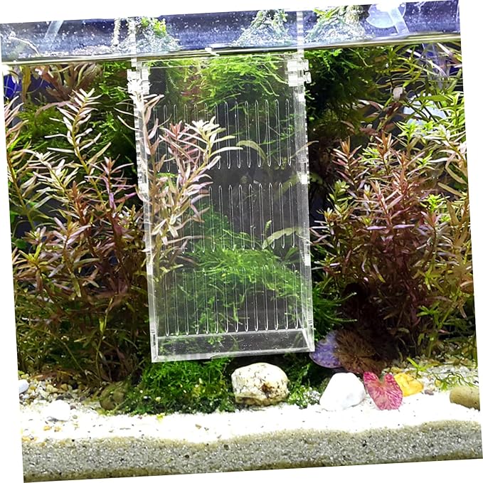 Sosoport Acrylic Incubator Fish Tank Divider Turtle Habitat Betta Fish Tank Separator for Breeding Aquarium Accessory