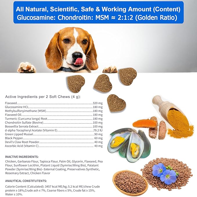 Advanced Dog Hip Joint Health Supplement Chews with Glucosamine for Dogs, + Chondroitin, MSM, Turmeric & Green Lipped Mussel, Support Mobility, Pain Relief for Senior All Breeds Soft Chewable Treats