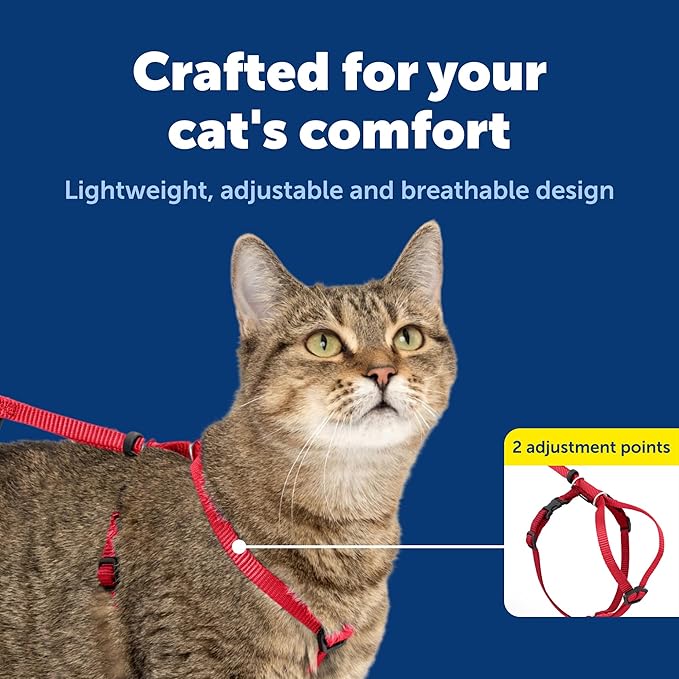 PetSafe Come With Me Kitty Cat Harness & Bungee Leash - Comfortable Cat Harness with Lightweight Bungee Leash for Outdoor Fun - More Secure Walks - Small - Red
