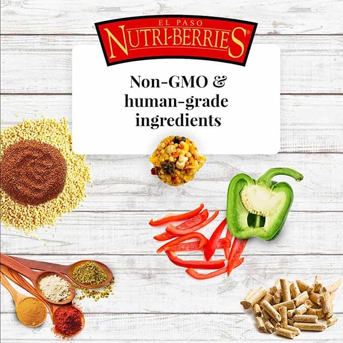 LAFEBER'S El Paso Nutri-Berries Pet Bird Food, Made with Non-GMO and Human-Grade Ingredients, for Small Birds, 10oz (Pack of 2)