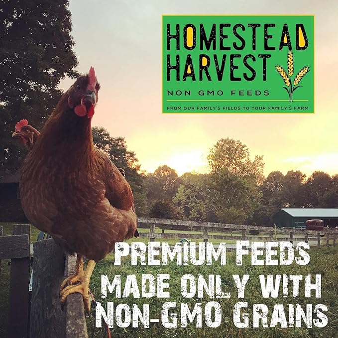 Non-GMO Whole Grain Layer Blend 16% - Chicken Feed for Laying Hens and Ducks - Includes Essential Oils, Herbs, Oyster Shells, Vital Minerals, and Omega 3, 25lb