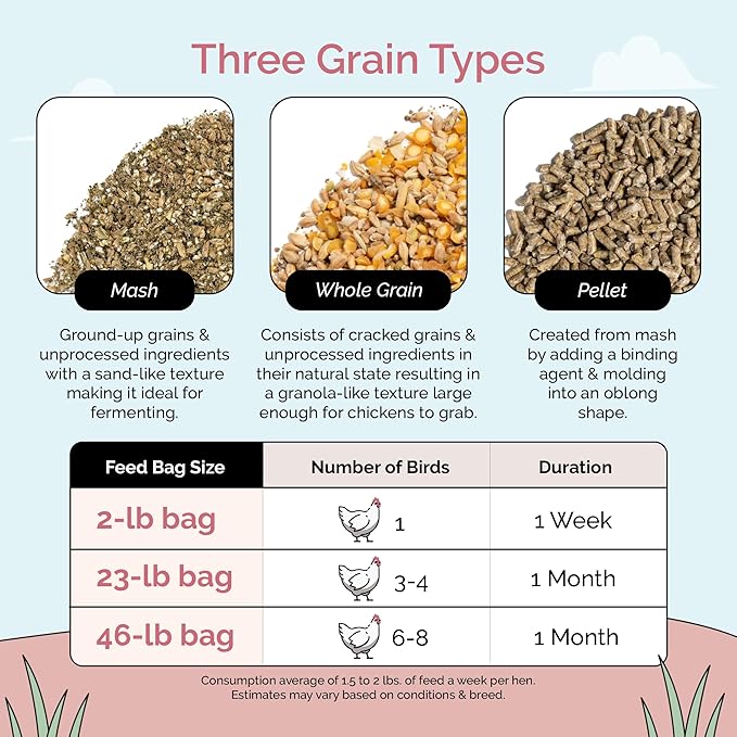 Mile Four Organic Chicken Feed – Layer Pellet, Non-GMO, USA Grown, 16% Protein, Corn-Free, Soy-Free, Non-Medicated Feed for Chickens, 2 lbs Sample