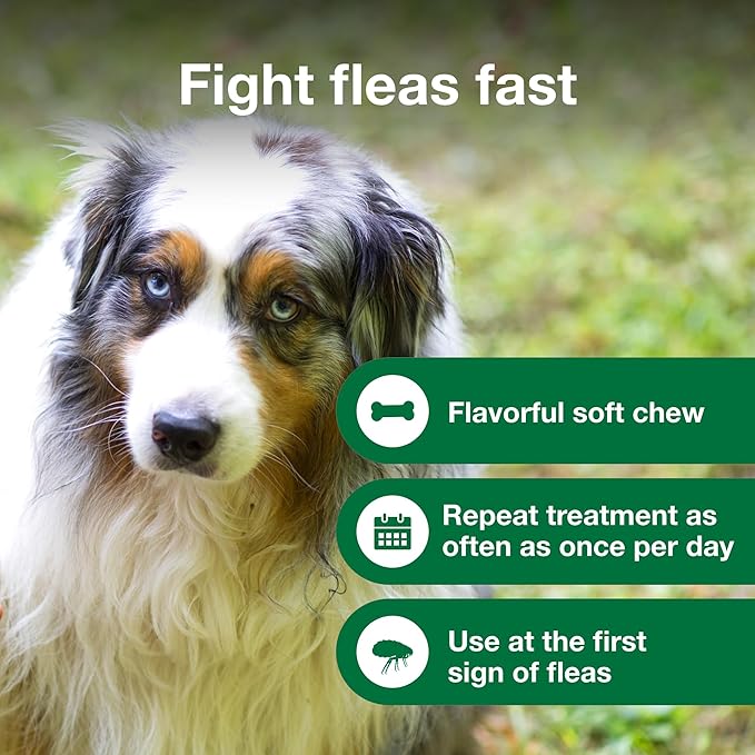 Advantus Dog Fast Acting Oral Flea Treatment Soft Chews Dogs 23 - 110 lbs. | 30 ct.