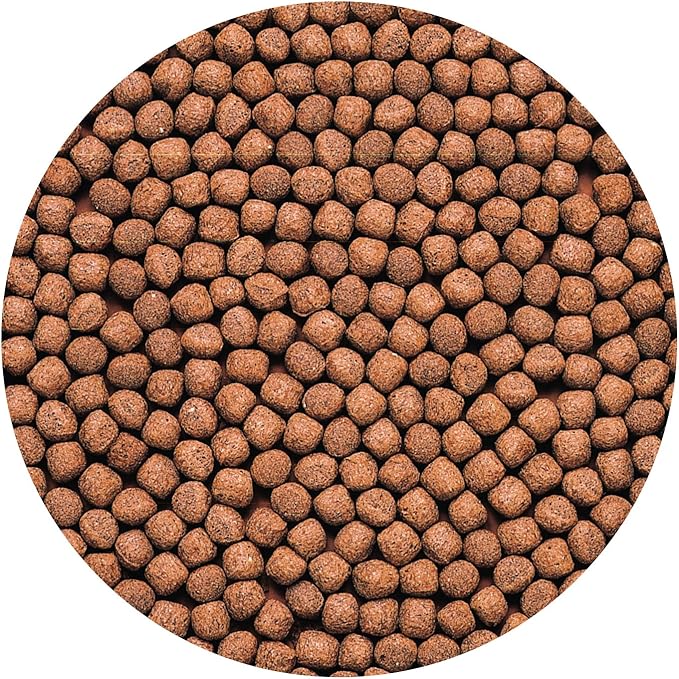 Hikari 2-Ounce Cichlid Gold Floating Pellets for Pets, Medium