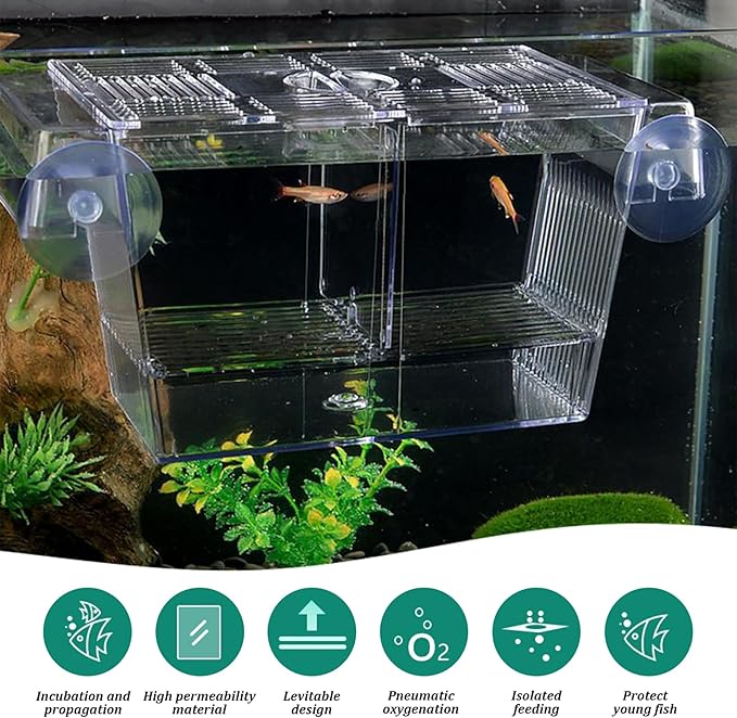 Fish Breeding Box, Transparent Insulation Breeder Box for Fish Tank, 5x3x3 Detachable Plastic Small Tank for Babies, Shrimp, Clown and Guppy