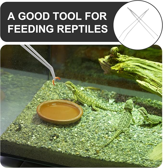Housoutil 2pcs Extra Large Feeding Tongs for Reptiles and Fish Heavy Duty Metal Tweezers Straight Curved for Precise Handling and Feeding of Lizards Turtles and