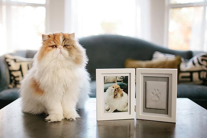 Pearhead Pet Paw Print Memorial Frame with Clay Imprint Kit, Dog & Cat Pawprint Keepsake Wood Photo Frame, DIY No Bake Paw Print Kit, 4x6 Picture Display, White