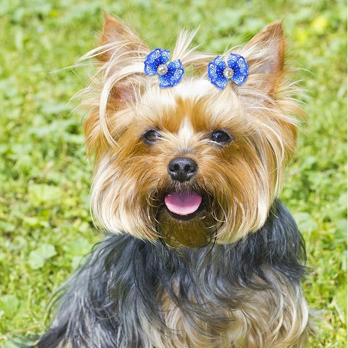 Reginary 300 Pack Dog Bows Grooming Cute Dog Hair Bows Girl with Rubber Bands Small Puppy Bowknots Colorful Hair Accessories for Puppies Pets Gift