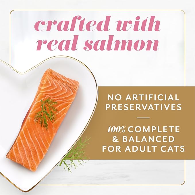 Fancy Feast Gems Pate Cat Food Mousse With Salmon and a Halo of Savory Gravy Cat Food - (Pack of 8) 4 oz. Boxes