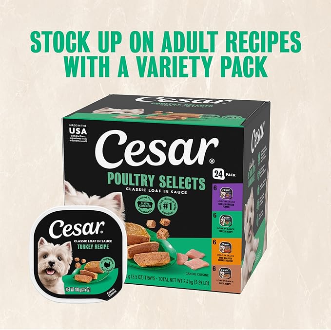 Cesar Classic Loaf in Sauce Adult Wet Dog Food Turkey Recipe, 3.5 oz. Easy Peel Trays, 24 Count (Pack of 1)