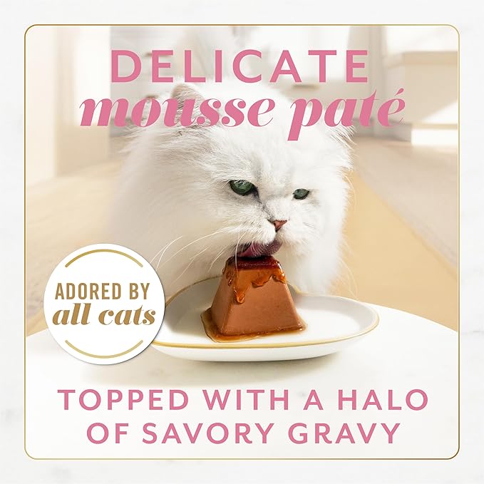 Fancy Feast Gems Pate Cat Food Mousse with Salmon and a Halo of Savory Gravy Cat Food - 4 oz. Boxes,(Pack of 16)