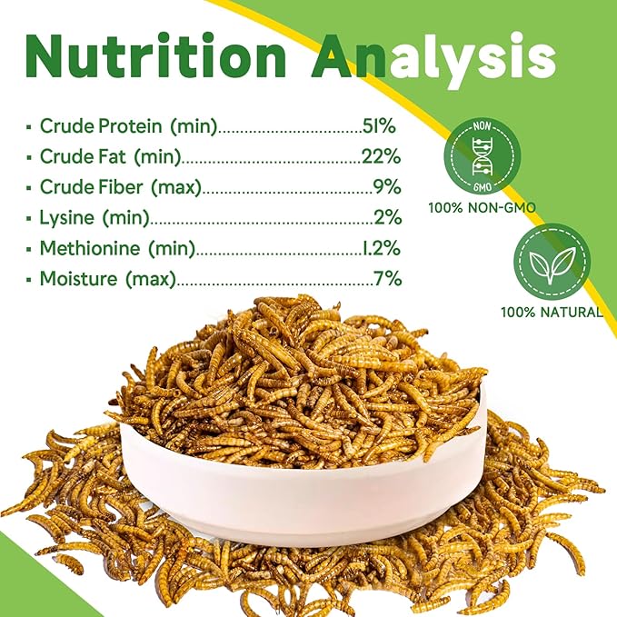 1LB Dried Mealworms Treat for Chicken, 100% Natural Non-GMO High Protein Organic Chicken Feed for Birds, Ducks, Layer Hens