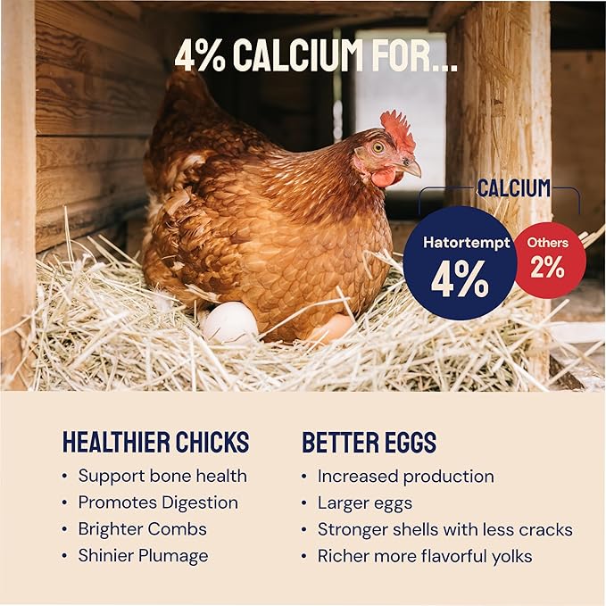 Hatortempt 5 lb Black Soldier Fly Larvae for Chickens - 4% Calcium for Stronger Shells and Better Egg Production - Organic Dried Treats for Laying Hens, Wild Birds, Ducks and Reptiles