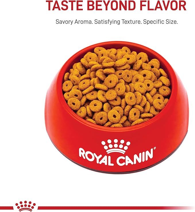 Royal Canin Feline Care Nutrition Appetite Control Care Adult Dry Cat Food, 6 lb Bag