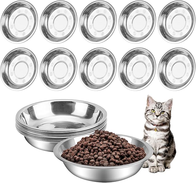 HUOIQUE 10 Pcs 6.2 Inches Stainless Steel Cat Bowls, Whisker Friendly Metal Shallow Cat Dishes for Food and Water