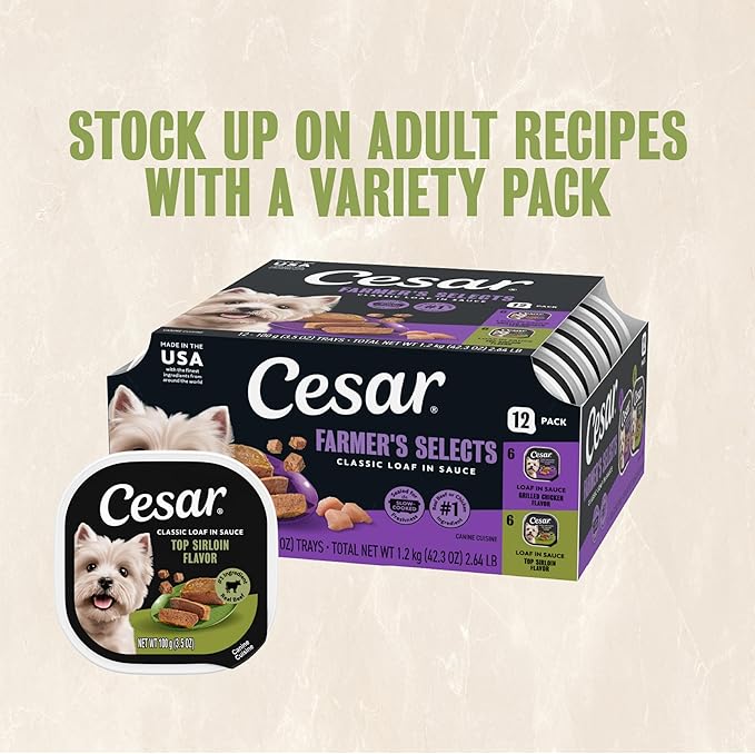 Cesar Classic Loaf in Sauce Adult Wet Dog Food Top Sirloin Flavor, 3.5 oz. Easy Peel Trays, 24 Count (Pack of 1)
