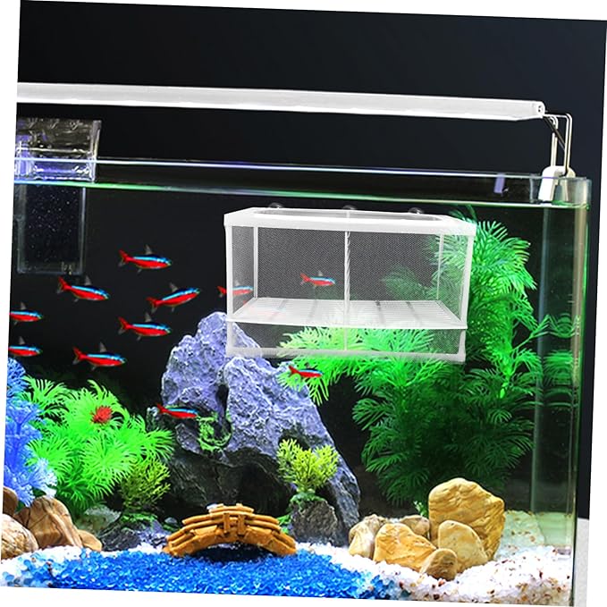 BESPORTBLE 2pcs Aquarium Fish Tank Partition Net Fish Netting for Decoration Breeding Tank Divider Isolation Mesh Random Style