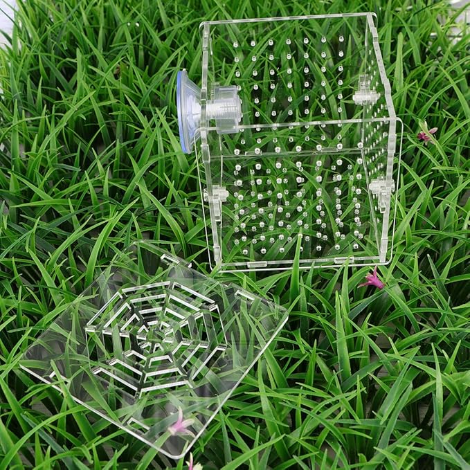 HOMSFOU Acrylic Fish Breeding Tank Box with 2mm Round Hole Suction Cup 10x10x10cm Isolation Aquarium Hatchery Incubator for Fish Fry and Betta Breeders