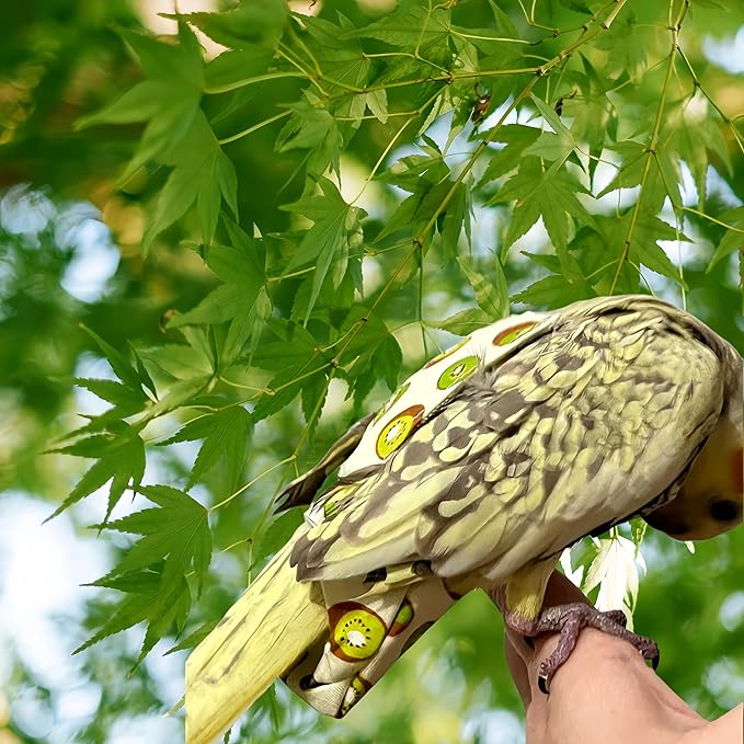 2 Pcs Bird Diapers Bird Harness Flight Suits Diapers with 80 Inch Flying Leash Reusable Parrot Nappy with Waterproof Inner Layer for Cockatiel Budgie Conure Parakeet Lovebird-Kiwi&Banana