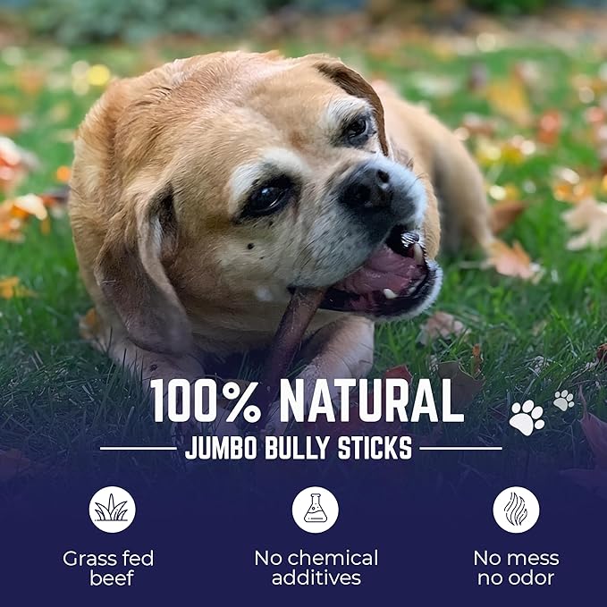 Devil Dog Pet Co. Bully Sticks – 6 Inch, 25 Pack, Standard Sized Dog Chews, 100% Natural, Single Ingredient, Free-Range Grass-Fed Beef – Long Lasting, Rawhide-Free Treats for Dogs