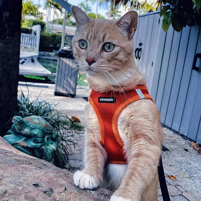 Best Pet Supplies Voyager Step-in Air Harness - All Weather Mesh, Reflective, No Pull Harness for Dogs, Cats - Secure with Hook & Loop Fastener, Buckle, Double D-Rings - Orange, XXS