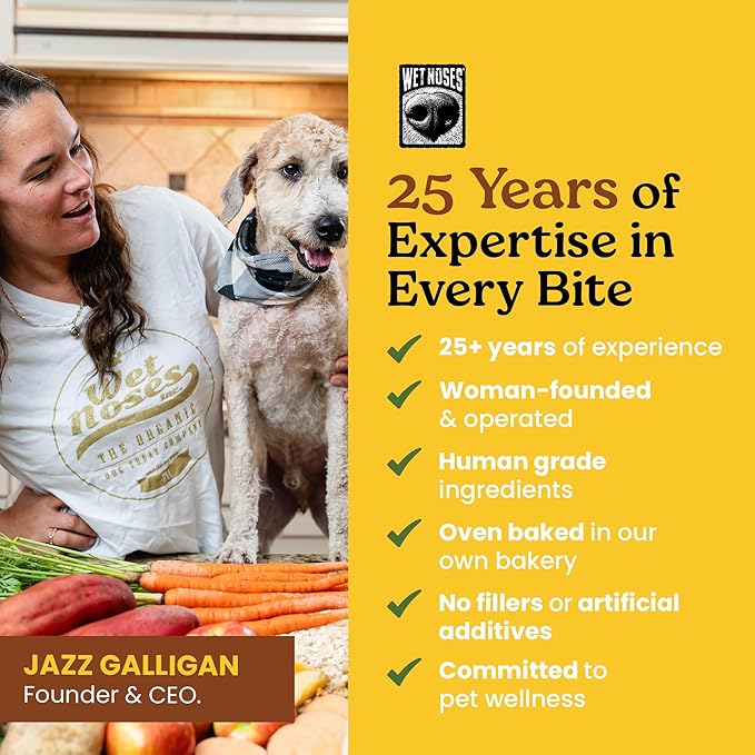 Wet Noses Organic Crunchy Dog Treats Grain Free – All-Natural, Human-Grade, Non-GMO, Healthy Training & Delicious Snacks for Dogs, All Dog Sizes & Breeds – Peanut Butter & Banana, 14oz (Single Pack)