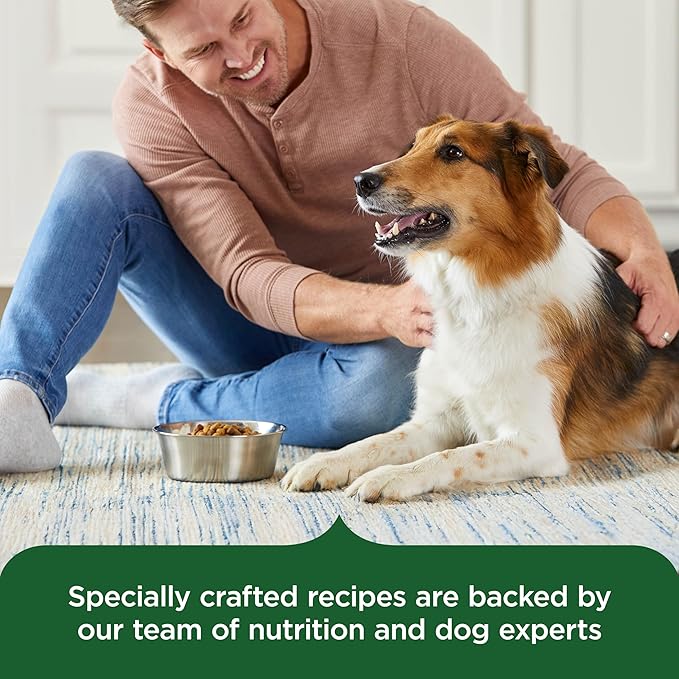 Nutrish Rachael Ray Adult Dry Dog Food Real Chicken & Veggies Recipe, 40 lb. Bag (Packaging May Vary)