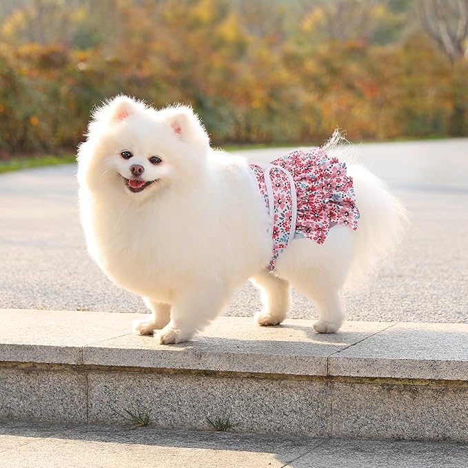Washable Dog Diapers Female 3 Pack Reusable Premium Highly Absorbent Doggie Diapers, Flexible Puppy Diapers, Durable Leak-Proof Leopard Dog Diapers for Period Heat Incontinence Puppy Training, S