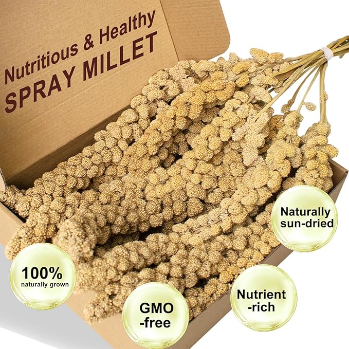 Natural Sun-Dried Spray Millet for Birds - 0.88LBS, Non-GMO Healthy Bird Treat Food for Parakeets, Cockatiels, Parrots, Lovebirds, Finches & Canaries