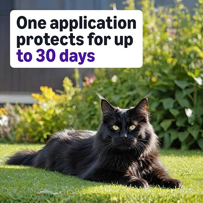 Amazon Basics Topical Flea Treatment for Large Cats (Over 9 pounds), 6 Count, Packaging May Vary