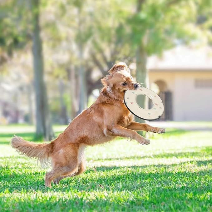 OllyDog Mini Super Flyer Dog Frisbee Toy, 9" – Durable, Lightweight & Water-Resistant Flying Disc – Soft on Teeth & Gums – Floats on Water – Outdoor Fetch Toy for Medium & Large Dogs (Terrazzo)