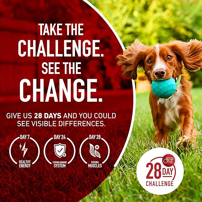 Purina ONE Natural, Sensitive Stomach Dry Dog Food, +Plus Skin & Coat Formula - 16.5 lb. Bag