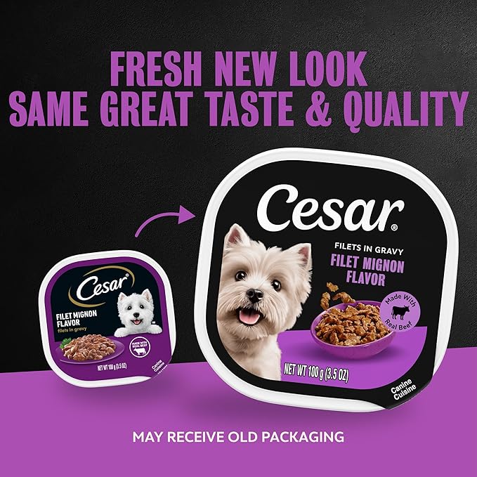 Cesar Filets in Gravy Adult Wet Dog Food Filet Mignon Flavor, 3.5 oz. Easy Peel Dog Food Tray, 24 Count (Pack of 1)