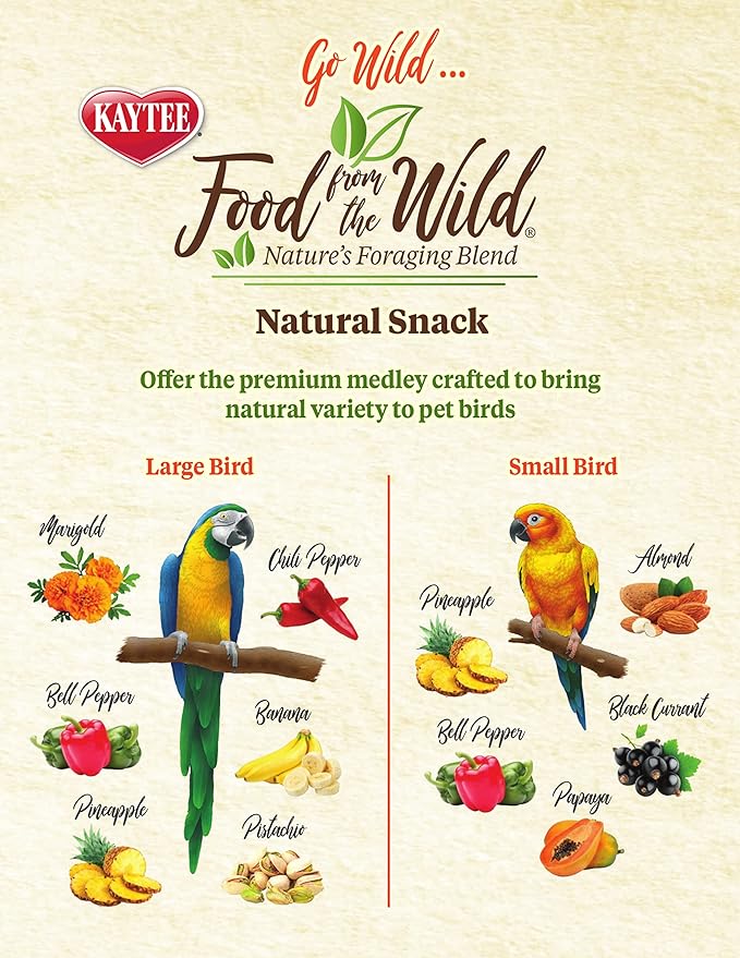 Kaytee Food From The Wild Natural Snack Food Treats For Pet Birds, 3 oz