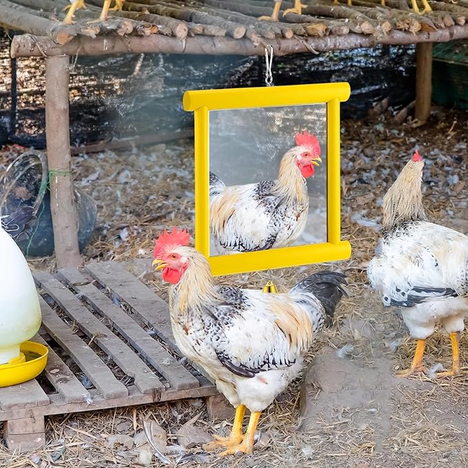 Sadnyy 1 Pcs Chicken Mirror Toys Extra Large 10.6 x 10 Inch Big Hanging Swing Mirror with Bell Wooden Pecking Toy for Hens Birds Parrots Coop Roosters (Square,Yellow)
