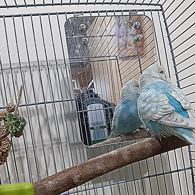 Bird Mirror for Cage with Parrot Rope Perches for Parakeet/Budgerigar/Lovebird/Canaries Stand