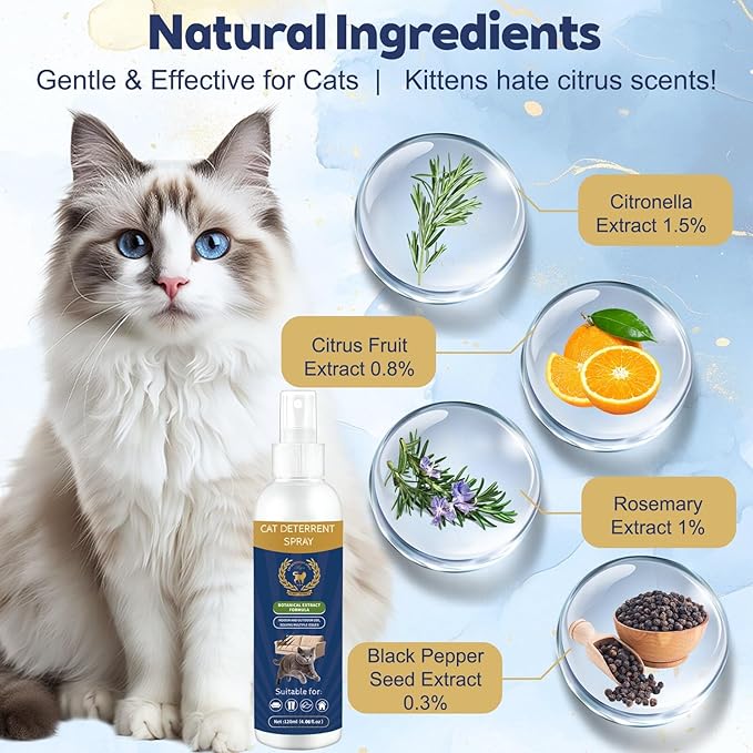 Cat Deterrent Spray - Natural Citrus-Scented, Indoor & Outdoor Training Spray to Stop Scratching on Furniture, Carpets & Curtains (4.06 oz)