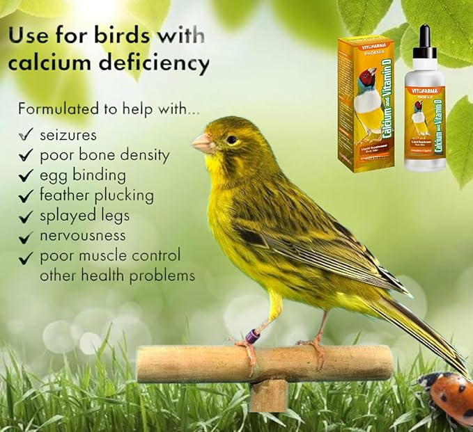Nutritional Calcium Supplement for Birds + Vitamin D3 - Bird Health Liquid Supplement 60 ml