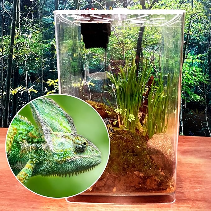 Reptile Terrarium Aquarium Breeding Tank, Transparent Acrylic Breeding Box Creative Desktop Reptile Box Spider Scorpion Pet Hatching Breeding Box Habitat Terrariums Habitat Box with LED Night Light